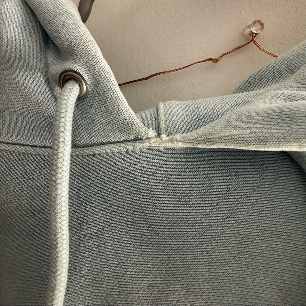Champion Baby Blue Boyfriend Hoodie - Picture 4 of 6